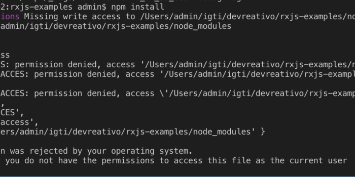 A imagem traz um erro de permissão ao instalar um pacote usando o NPM