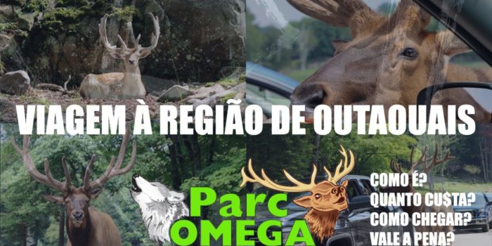 Viagem à Região de Outaouais Parc Omega